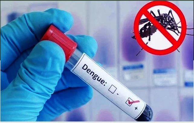 ডেঙ্গুতে প্রাণ গেল ৩ জনের , হাসপাতালে ভর্তি ৯২৮ জন